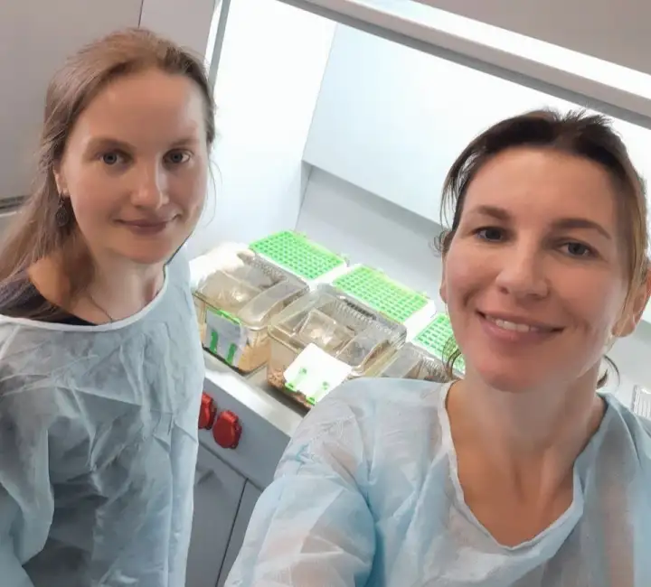 Разработчики препарата: сотрудник МГУ и ИБХ РАН Анна Яголович и сотрудник НИИ ЭО и БМТ ПИМУ Ирина Дружкова. Разработчики препарата: сотрудник МГУ и ИБХ РАН Анна Яголович и сотрудник НИИ ЭО и БМТ ПИМУ Ирина Дружкова.