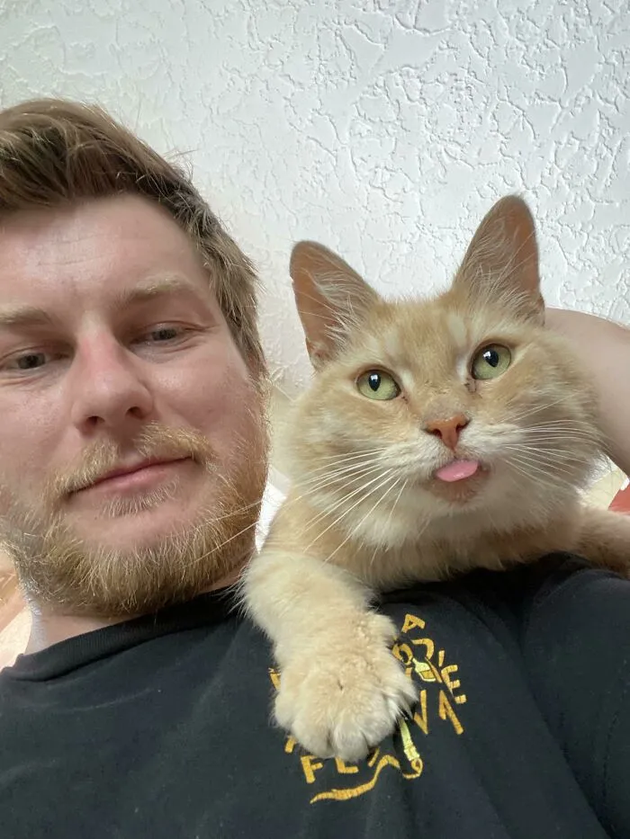 «Моих соседей выселили, и они бросили своего кота. Я решил усыновить его. Знакомьтесь, Мими».