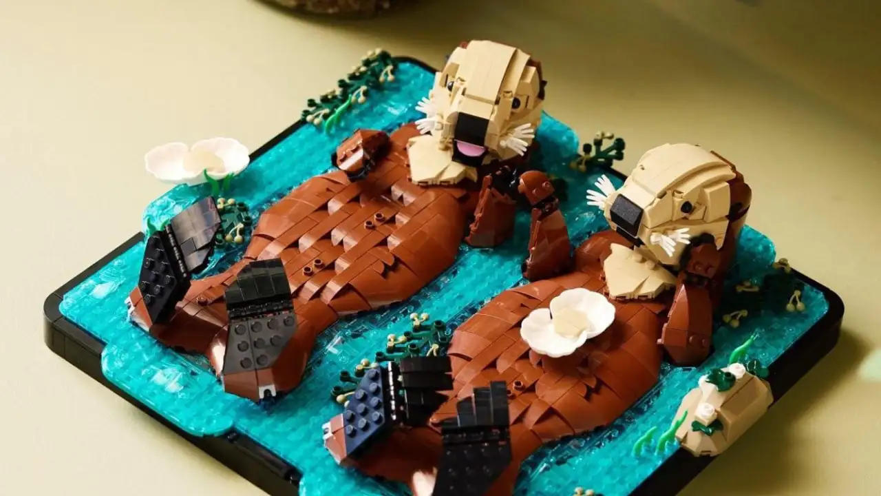 Конструктор с выдрами.