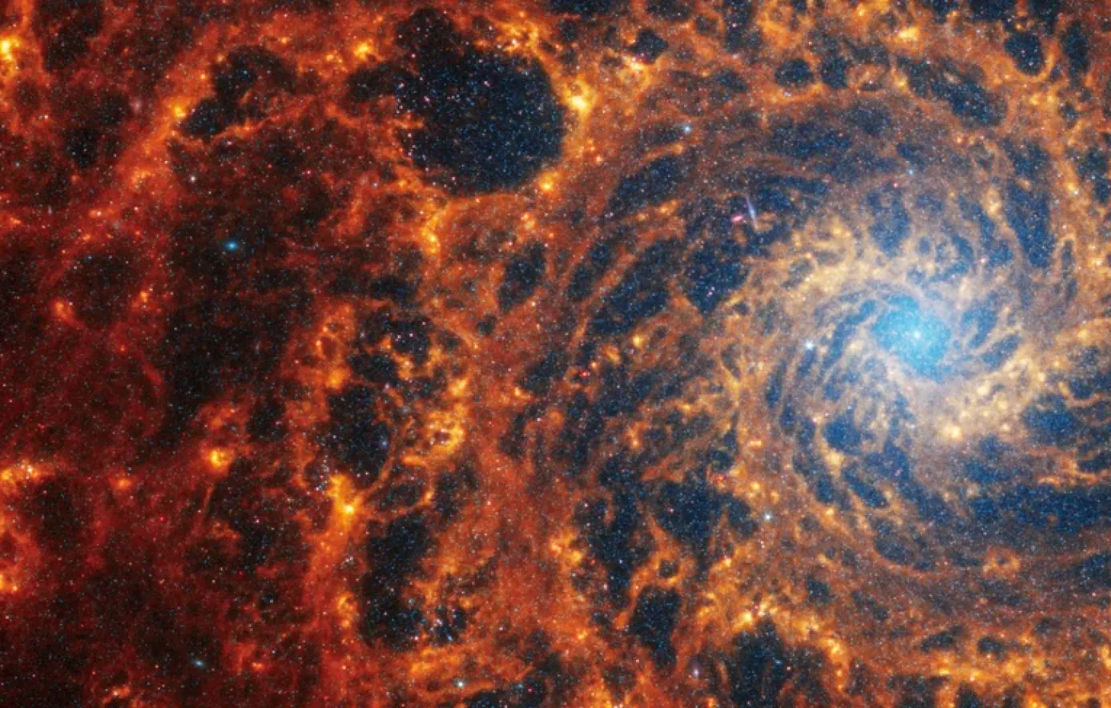 В этой спиральной галактике хорошо различимы пустоты между звёздами.