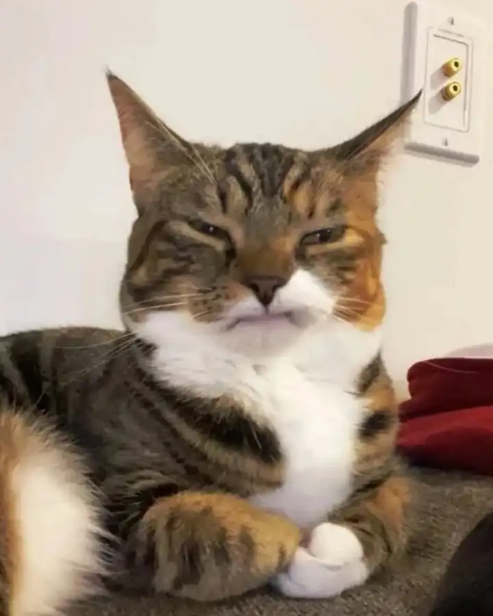 А на других уже более сурово.