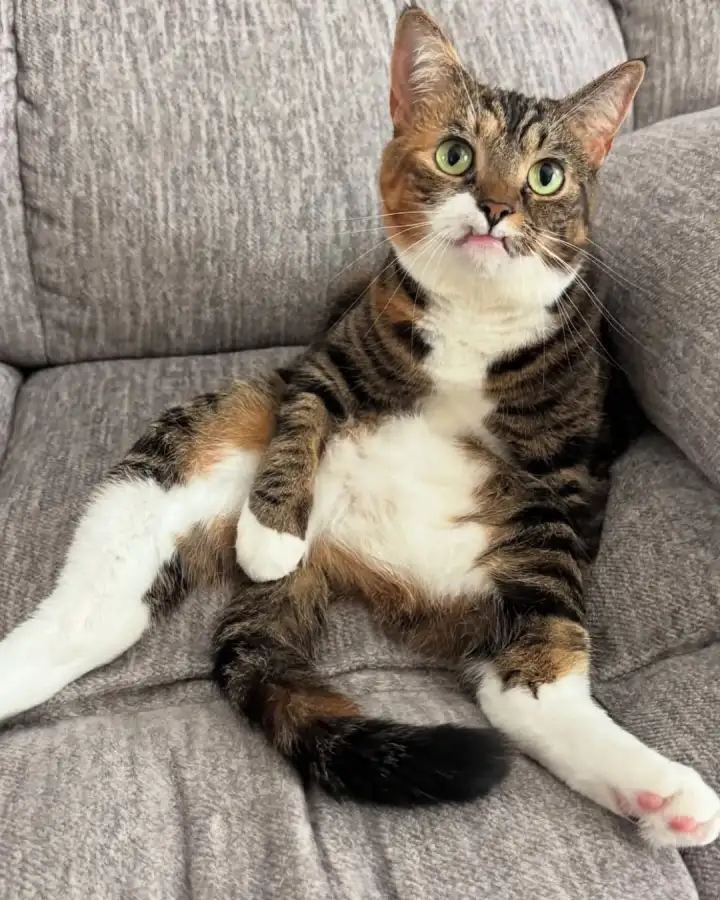 В любом случае, она очаровательна.