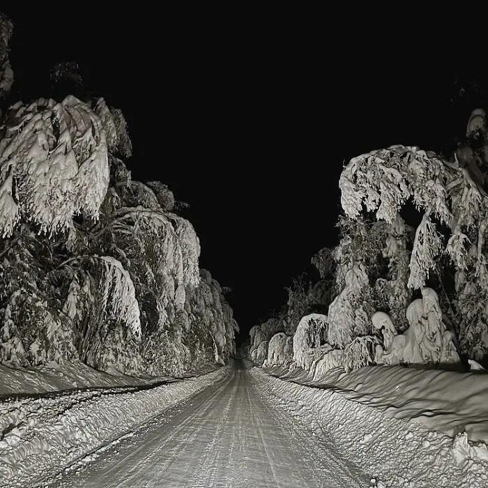 «Я сфотографировал дорогу к дому зимней ночью».