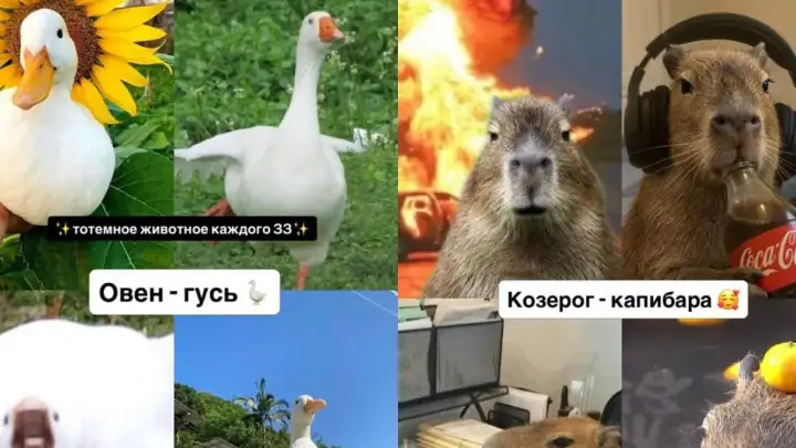 В Сети выкатили гороскоп тотемного животного для каждого знака зодиака