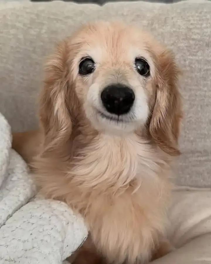 Её особенность в том, что один уголок приподнят над другим.