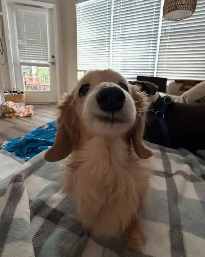 Складывается ощущение, что она ухмыляется над своими кожаными.