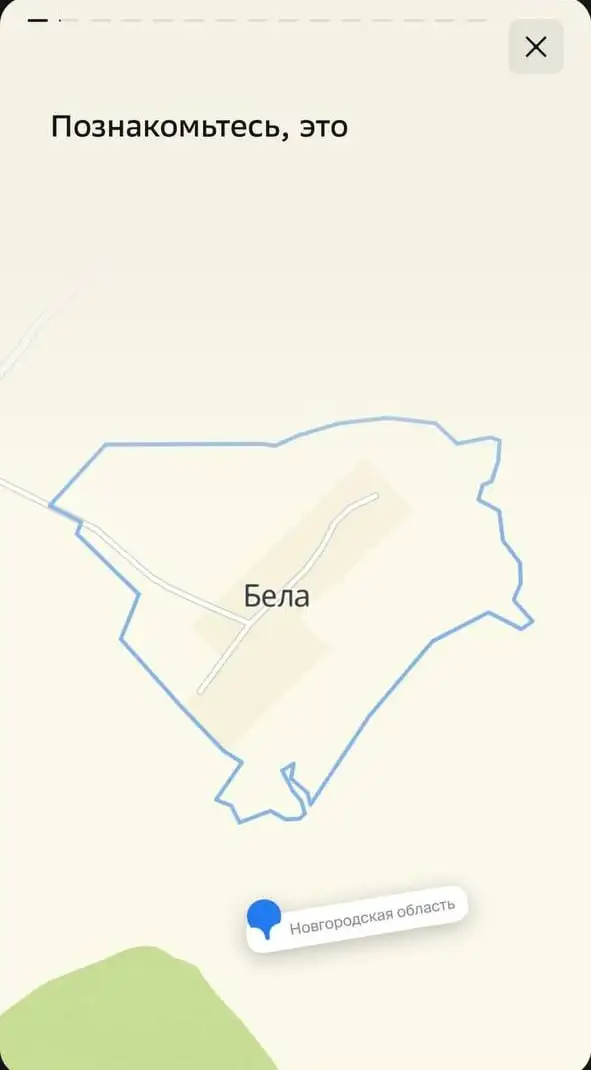 Познакомьтесь, это - Бела. Познакомьтесь, это - Бела.