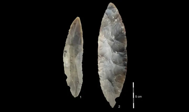 Каменные орудия, найденные в немецкой пещере на севере Альп.