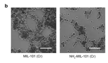 Наночастицы. Наночастицы.