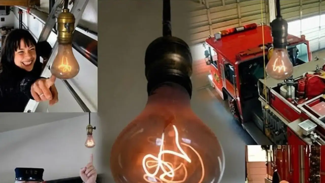 В США туристы приезжают посмотреть на лампочку, которая горит с 1901 года.