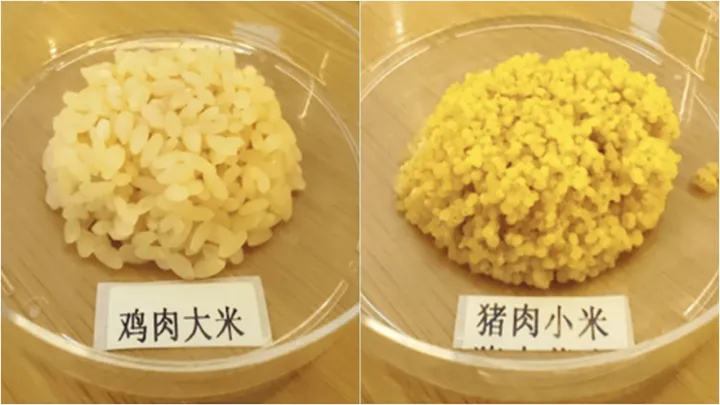 Исследователи вырастили разные сорта риса с мясным белком.