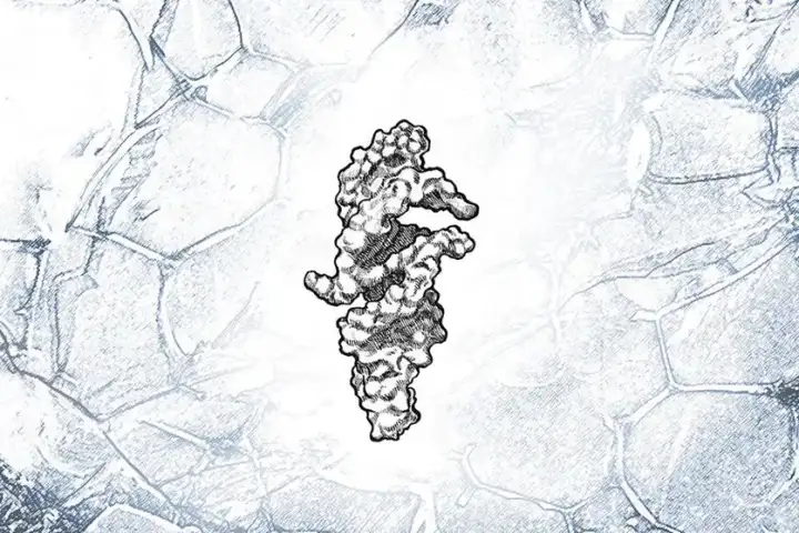 Художественное изображение QT45, наложенное на микроскопическое изображение замороженной среды. Художественное изображение QT45, наложенное на микроскопическое изображение замороженной среды.