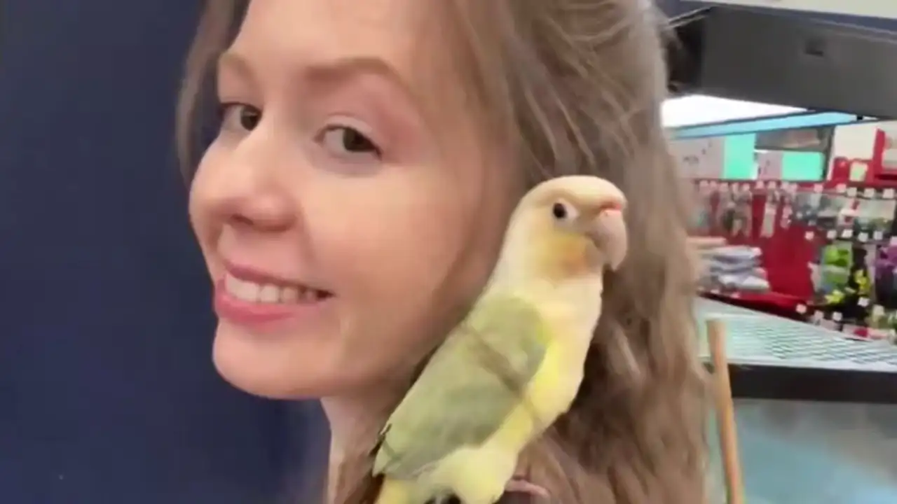 Девушка с попугаем.