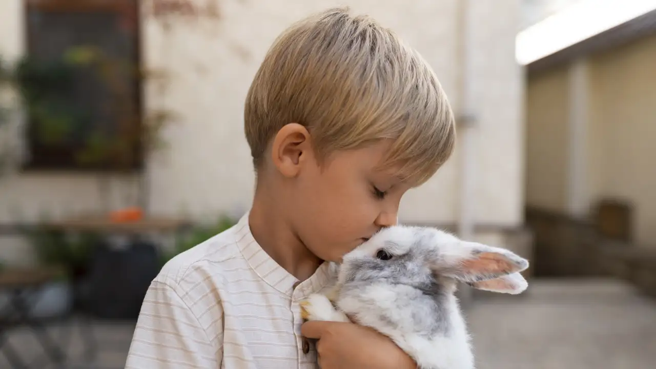 Мальчик со своим домашним кроликом.
