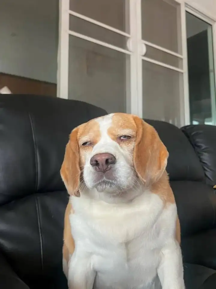 Муту недоволен.