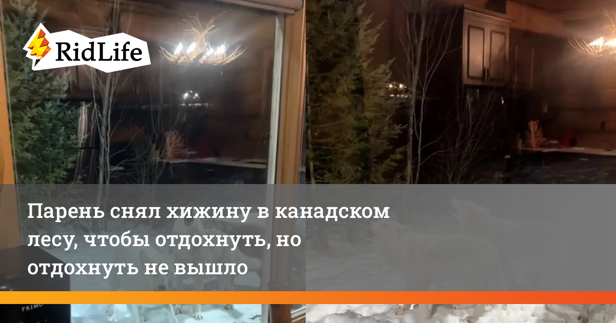 Парень снял хижину в канадском лесу, чтобы отдохнуть, но отдохнуть не вышло