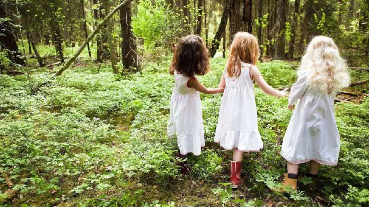 Дети гуляют в лесу.