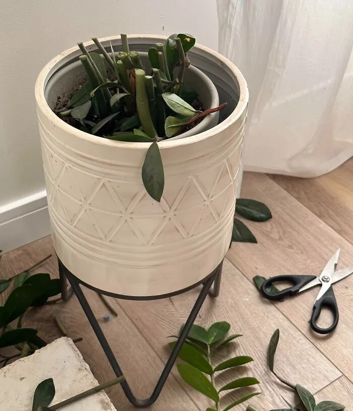 «Последствия ночевки 4-летнего ребенка в моем доме».