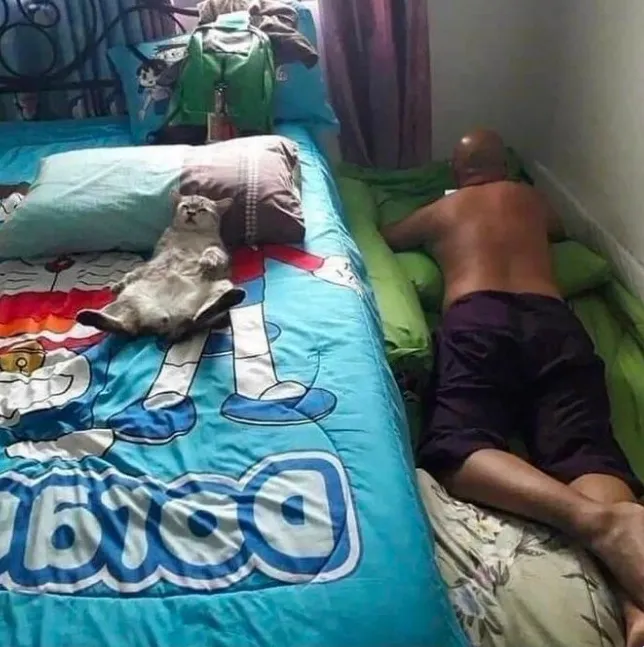 Произошло выселение.