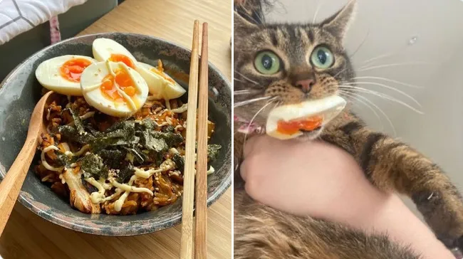 Яичный воришка.