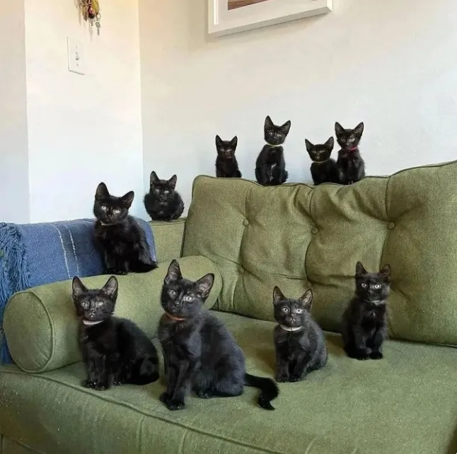 Семейное фото.