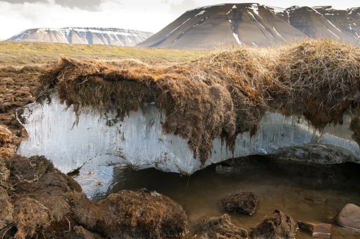 При таянии ледников в почве происходят разнообразные процессы, которые приводят к размножению бактерий.