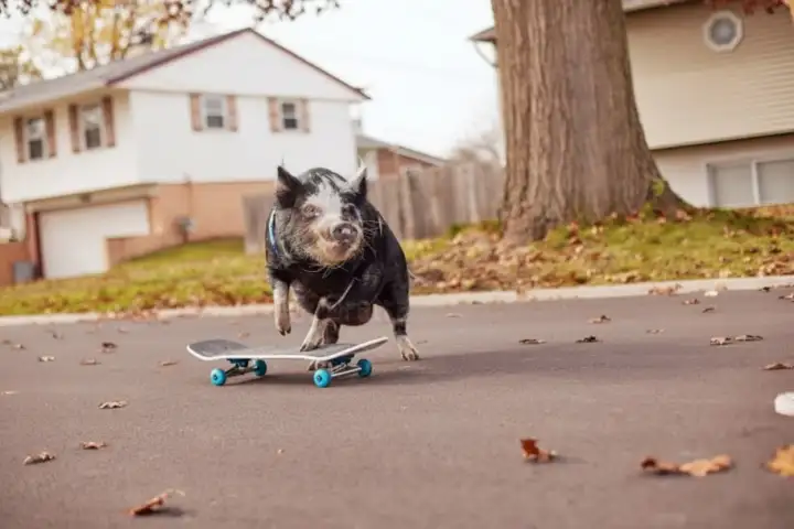 Норберт со своей доской. Норберт со своей доской.