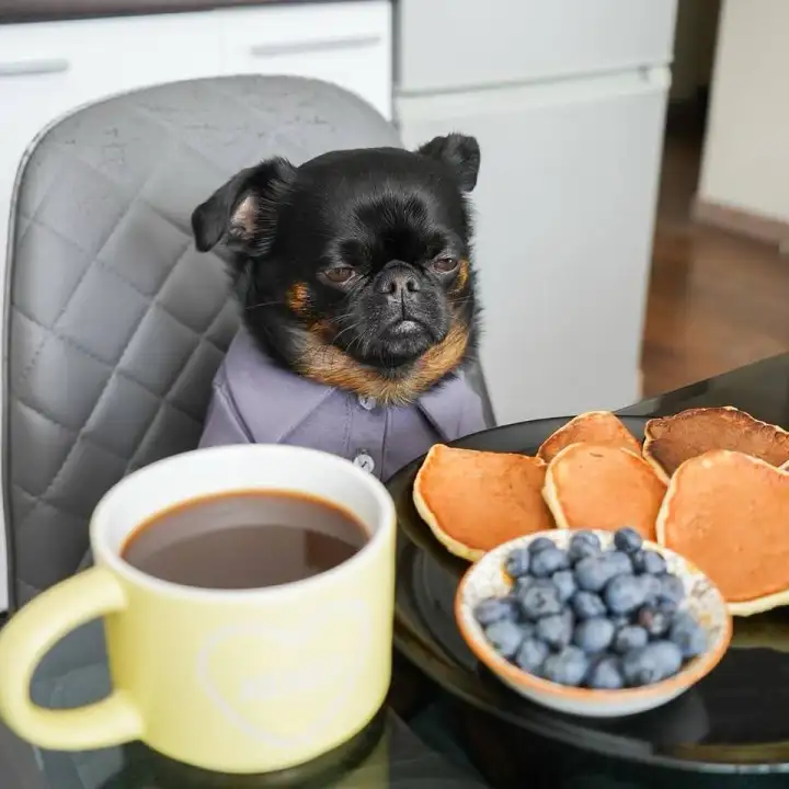 Недовольный Чарли за завтраком.