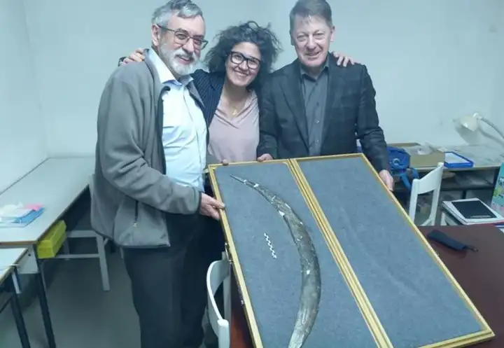 Авторы находки. Авторы находки.