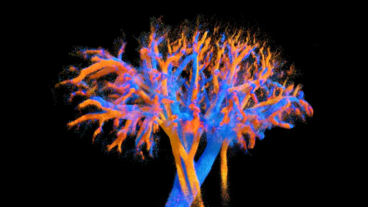 4D-визуализация.