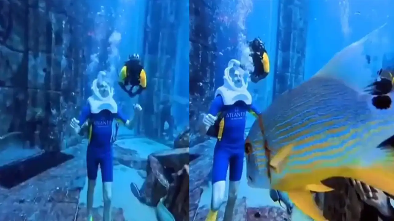 Аквариум AquaTrek.