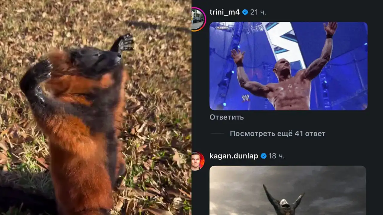 Главный герой Сети сейчас — лемур, нежащийся под солнцем в расслабленной позе.