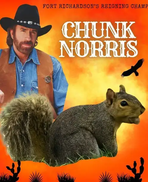 Толстяк Норрис.