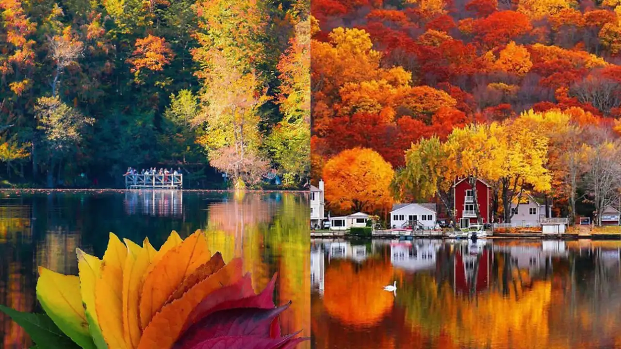 Фотографии осени от пользователей Reddit.