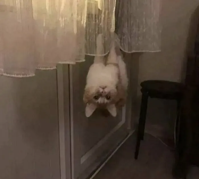 «Дратути. А я вот. Зависаю здесь». «Дратути. А я вот. Зависаю здесь».