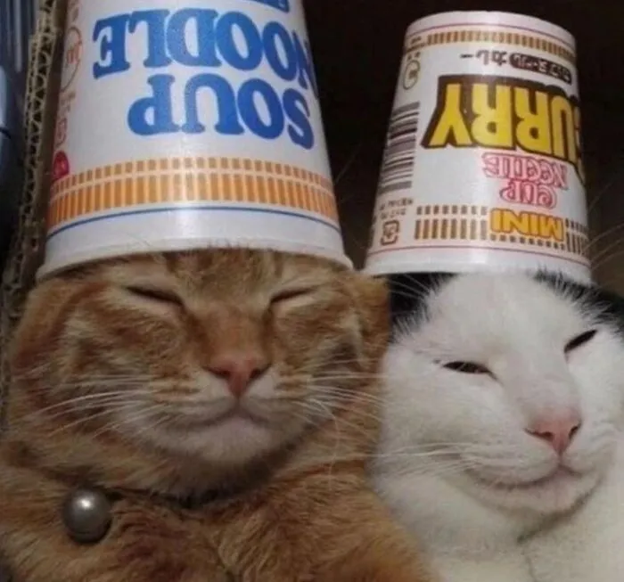 Поймали дзен. Поймали дзен.