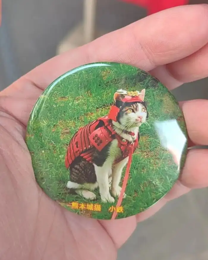 Сувенир с пушистым хатамото. 