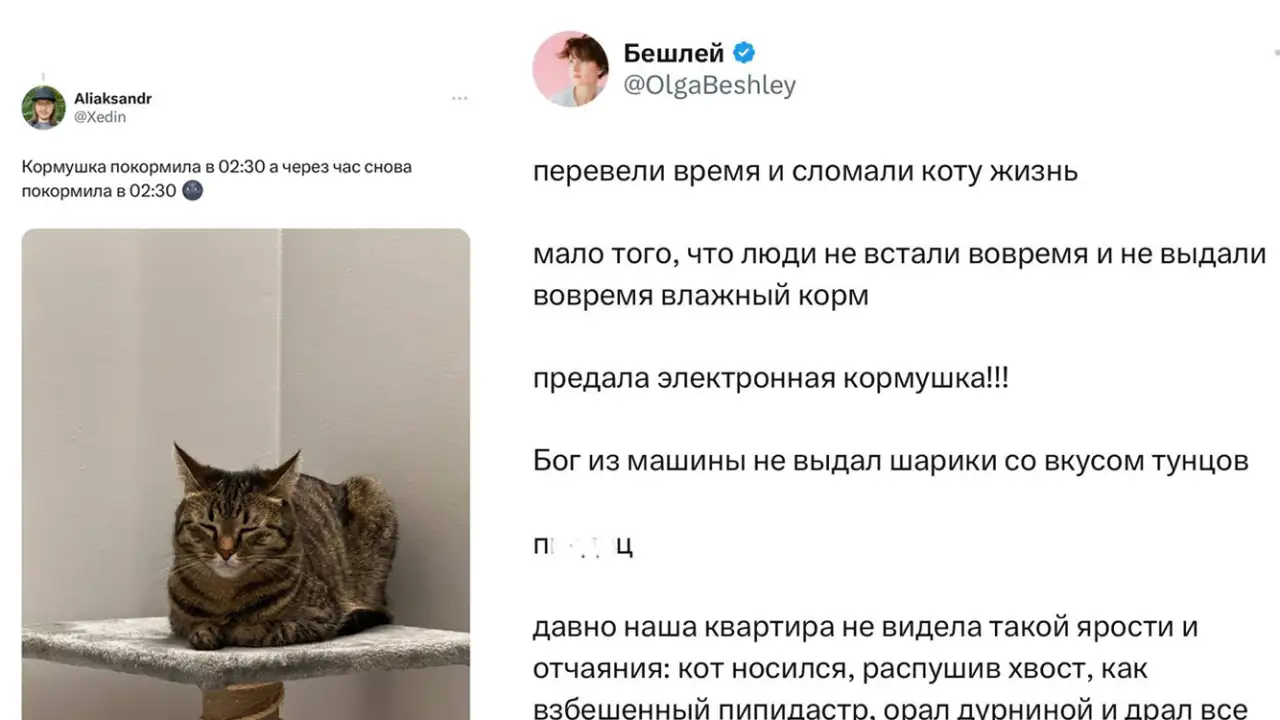 Скрины с сообщениями владельцев некормленных (и наоборот) котиков.