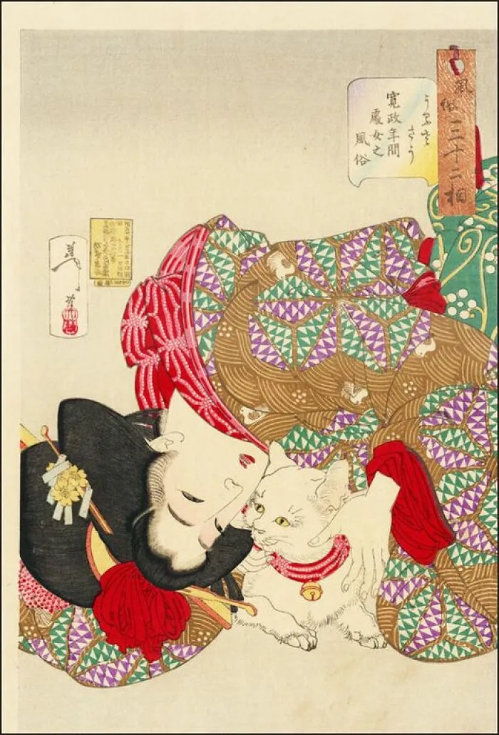 «Выглядишь утомительно» (также известное как «Дразнить кота»), Ёситоши, Цукиока, 1888 г.