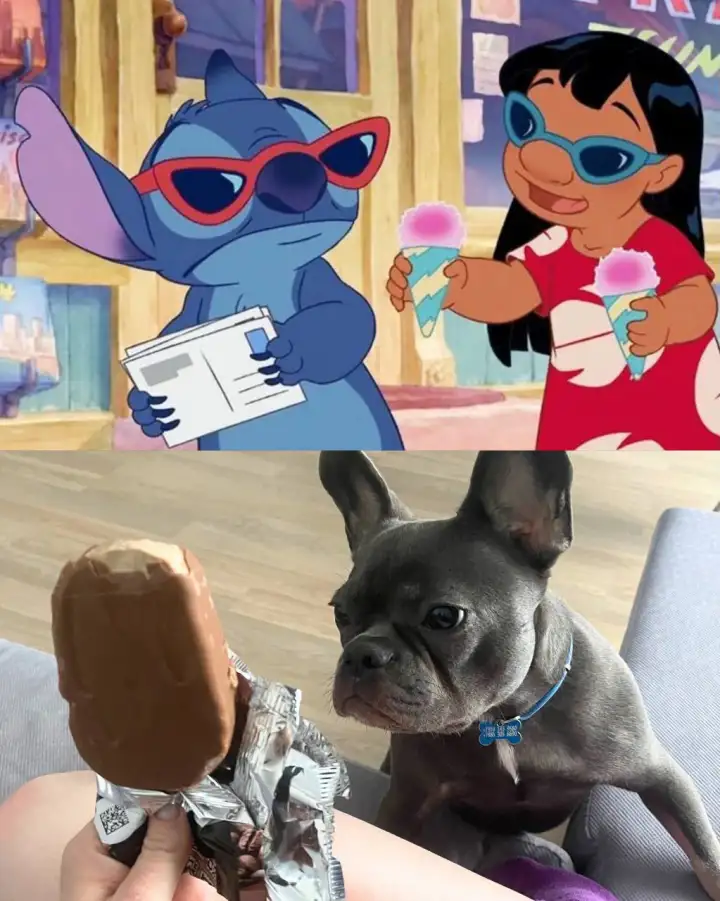 Такой же любитель мороженого, как Стич.