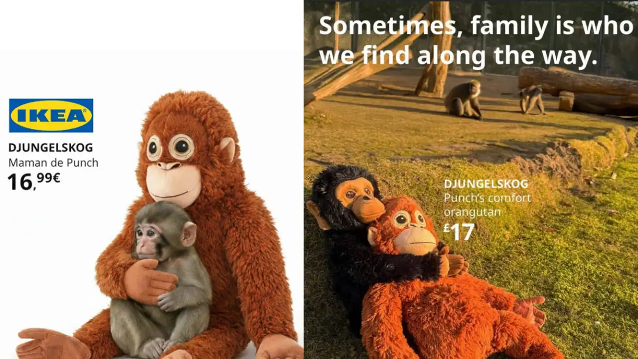 Скриншоты с сайта IKEA.