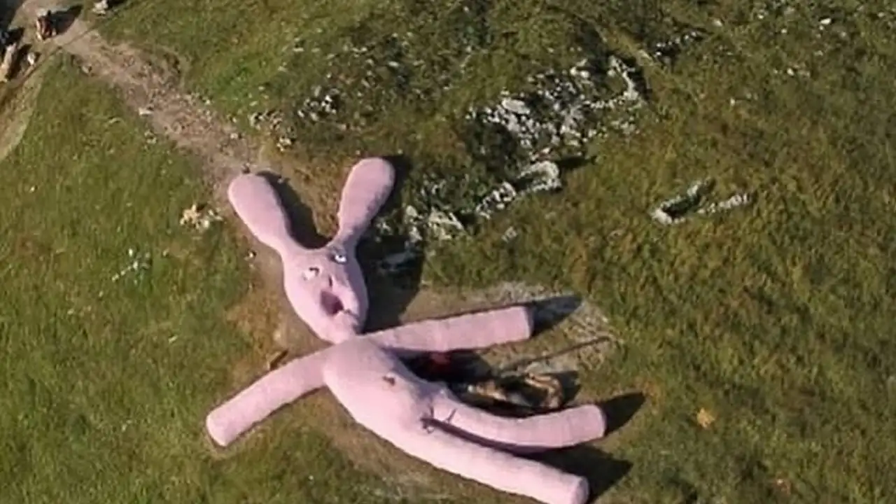 60-метровый розовый кролик.