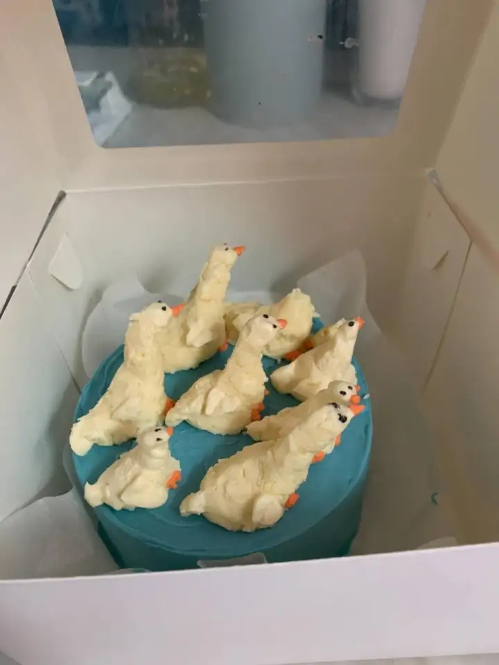 Реальность. Реальность.