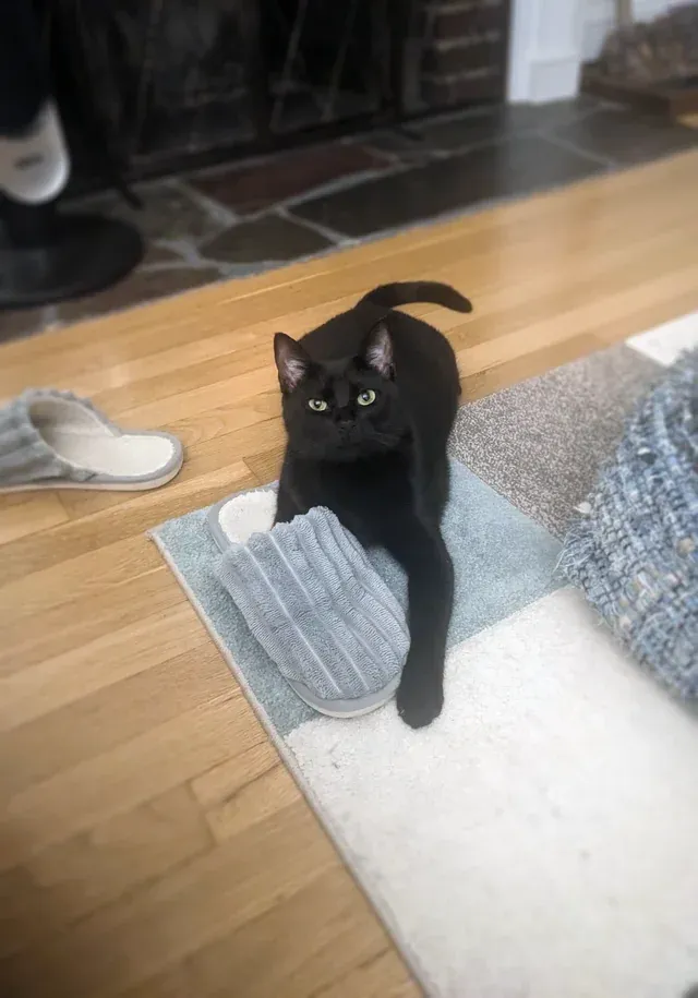 «Почему она делает это каждый божий день?»