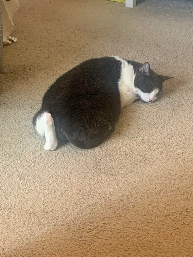 «Почему он это делает?»