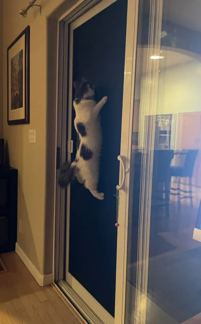 «Бог знает, что она увидела, но это привело к этому».