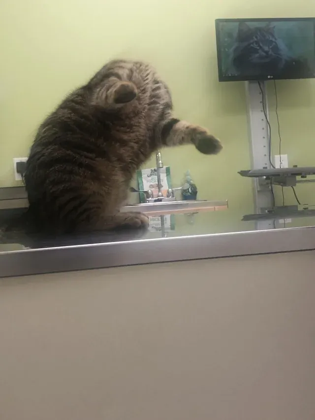 «Что-то с ним не так... Я просто не могу понять, что именно».