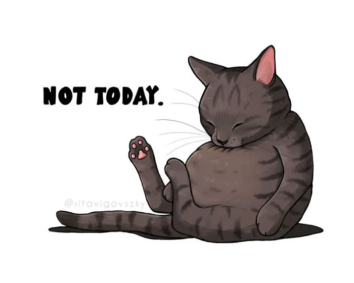 «Не сегодня». «Не сегодня».