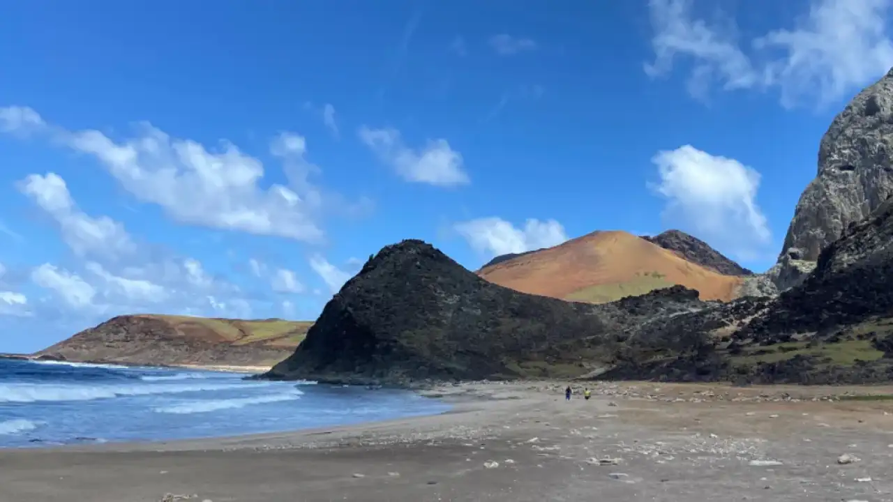 Места, где зелёные черепахи откладывают яйца.