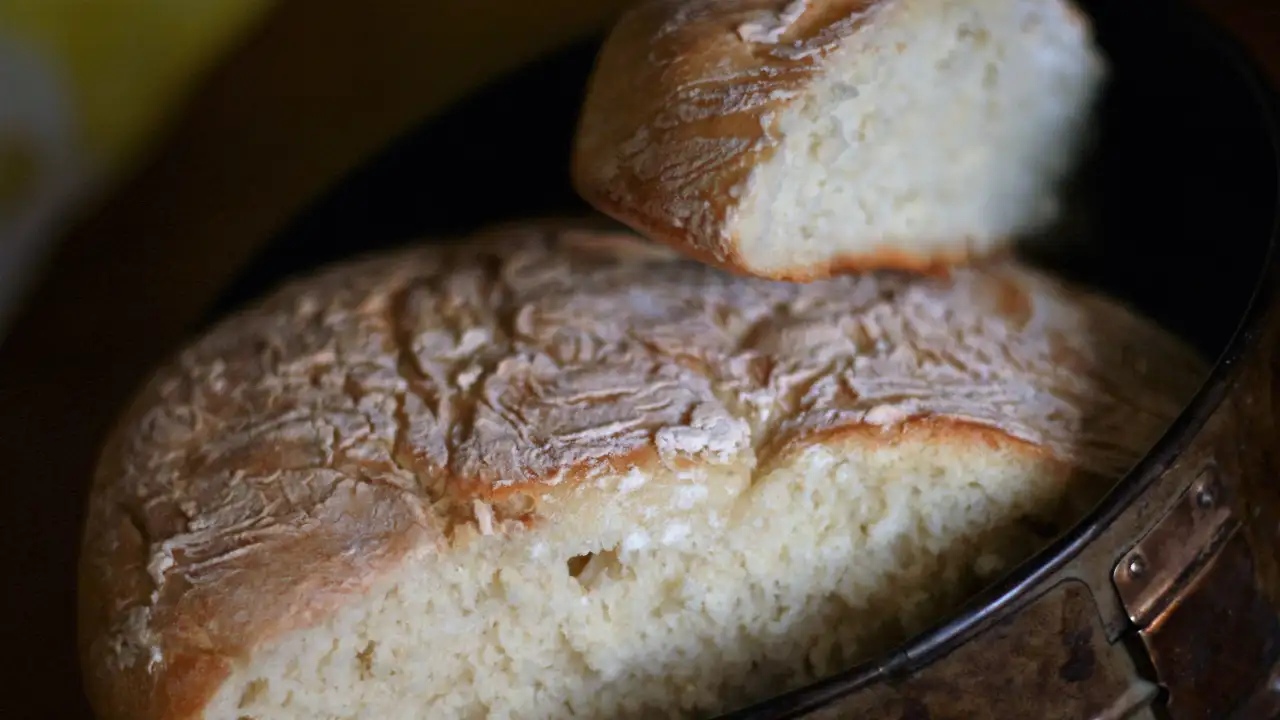 Заплесневевший хлеб.